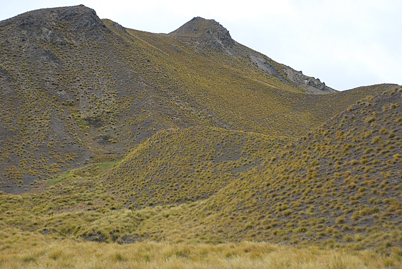 DSC_0969.JPG