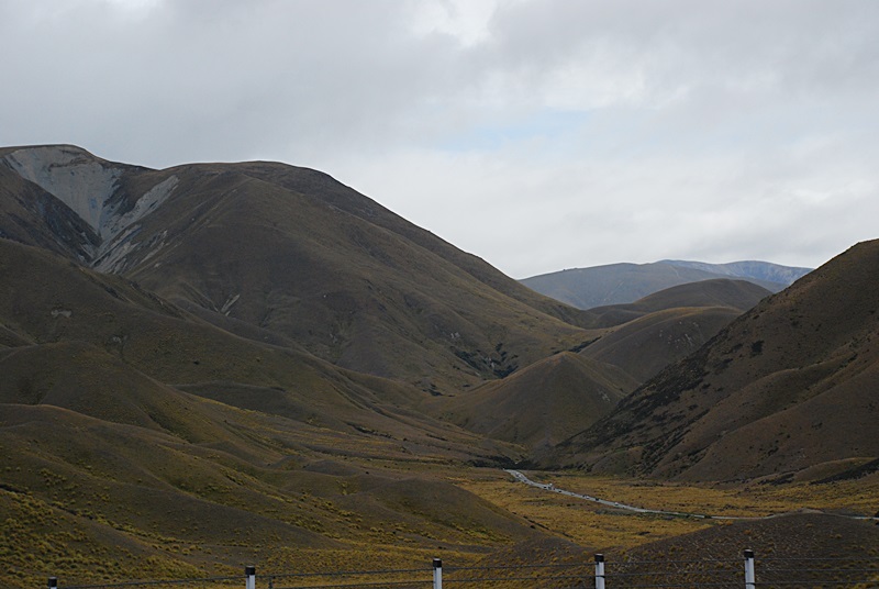 DSC_0980.JPG