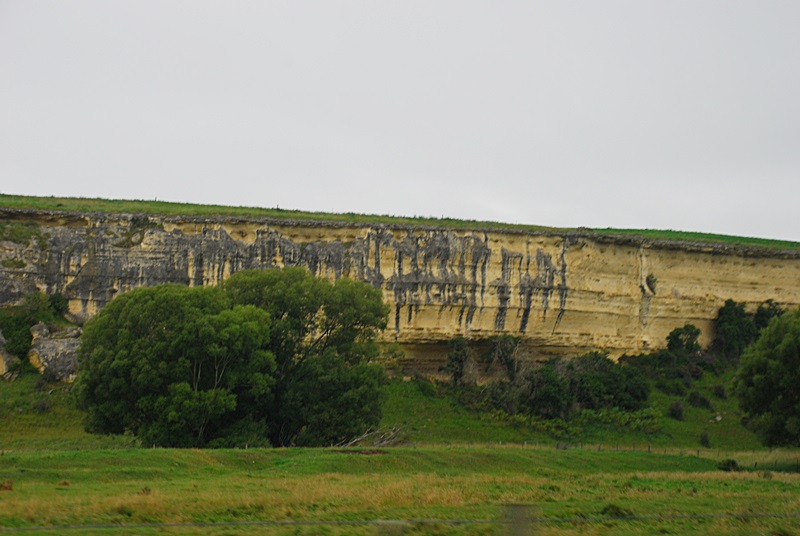 DSC_0155.JPG