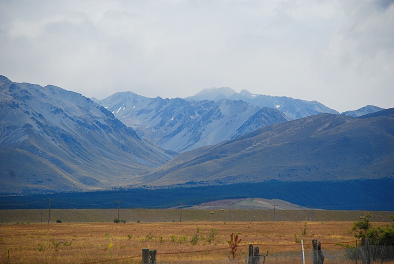 DSC_0993.JPG