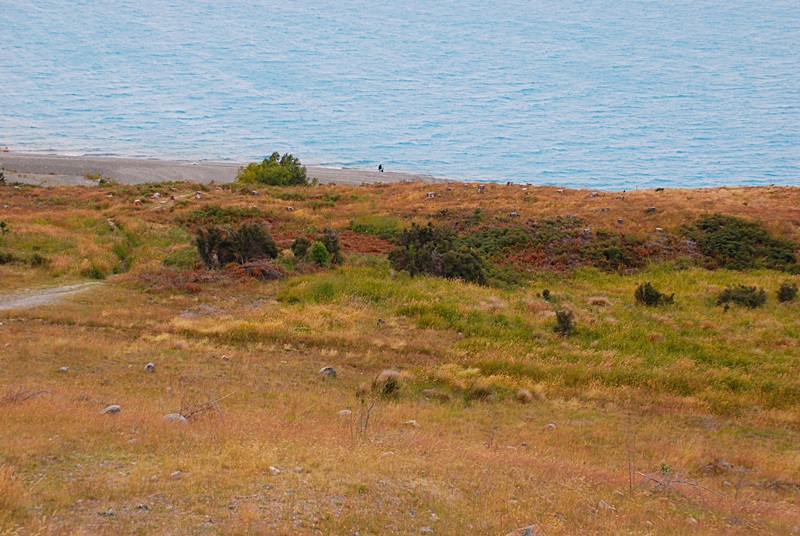 DSC_0002.JPG