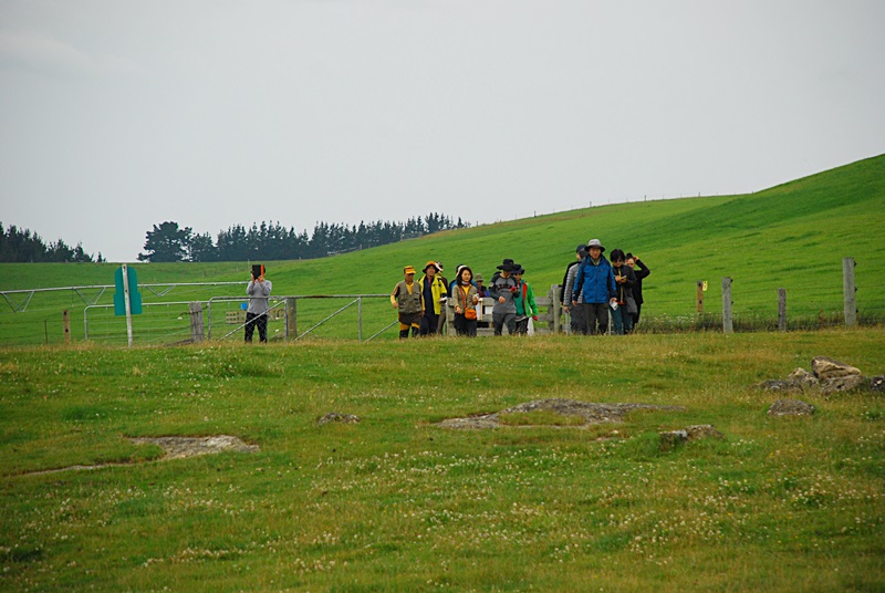 DSC_0078.JPG