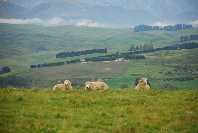 DSC_0064.JPG