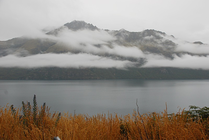 DSC_0956.JPG