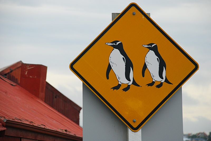 DSC_0158.JPG
