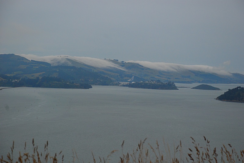 DSC_0180.JPG