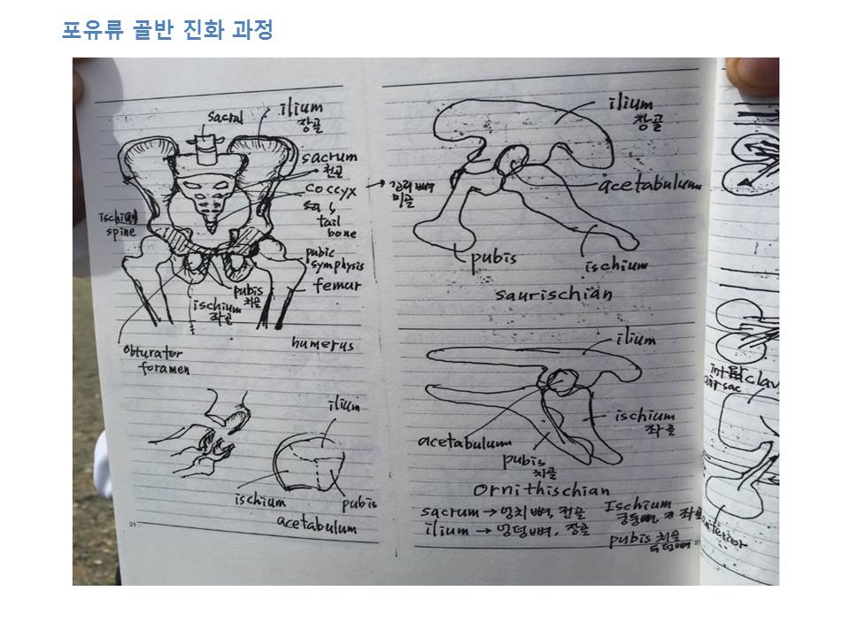 슬라이드22.JPG