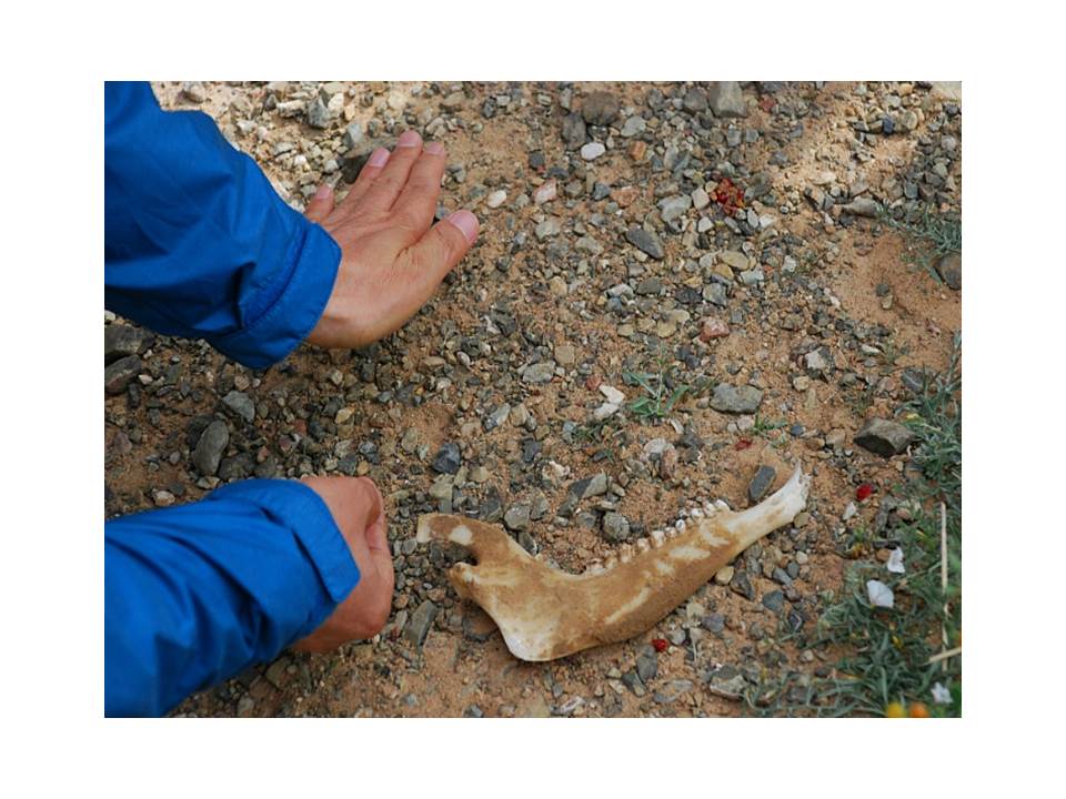 슬라이드25.JPG
