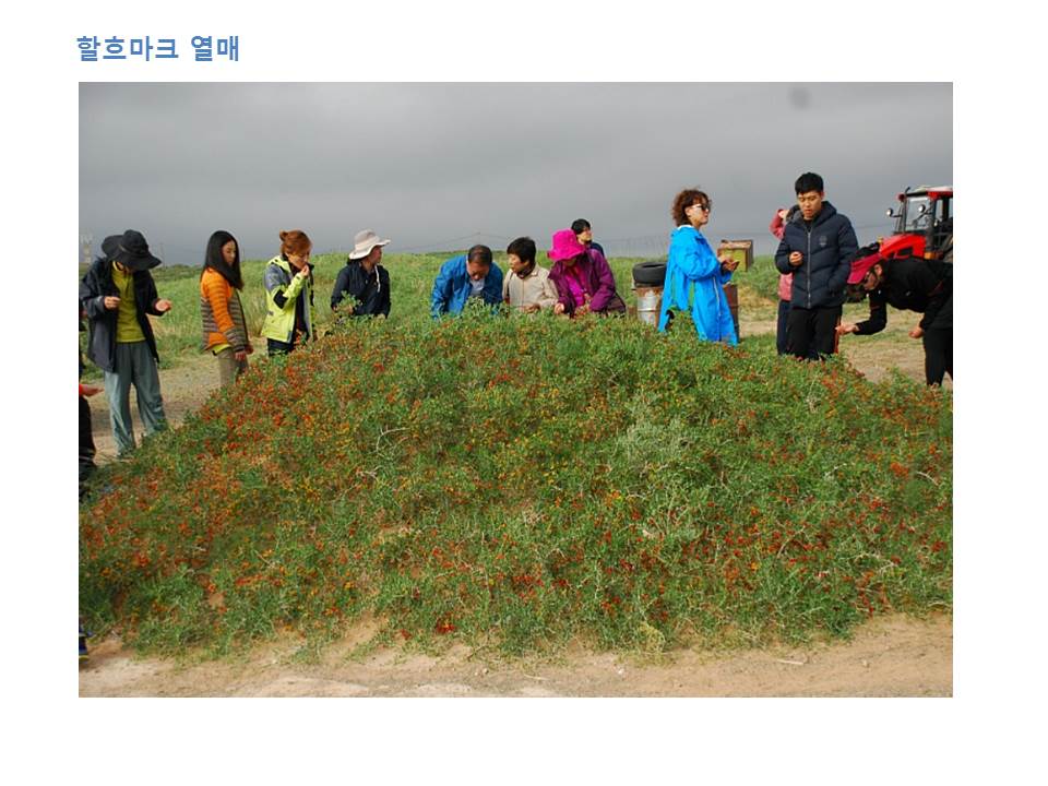 슬라이드23.JPG