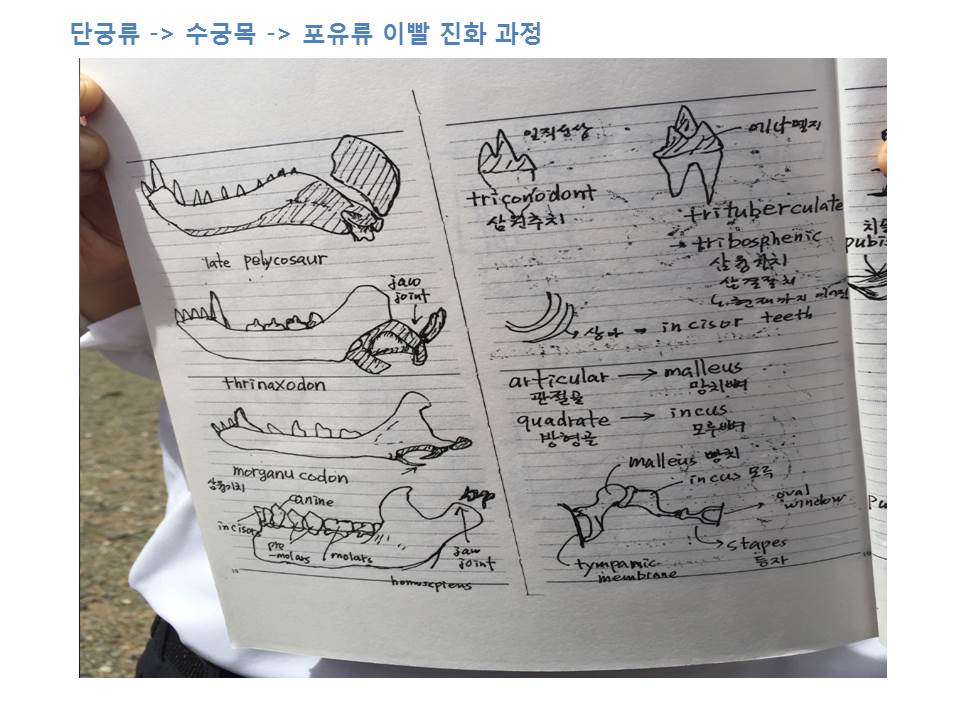 슬라이드21.JPG