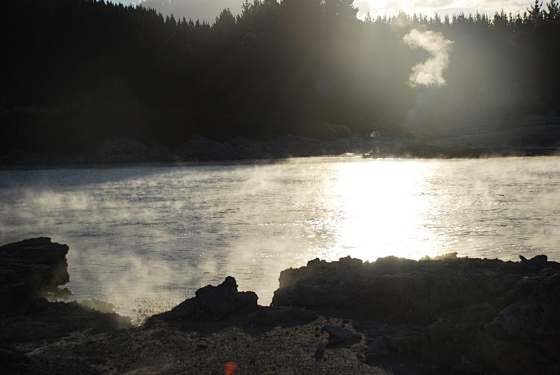 DSC_0238.JPG