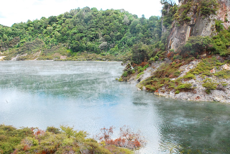 DSC_0403.JPG