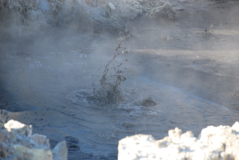 DSC_0166.JPG