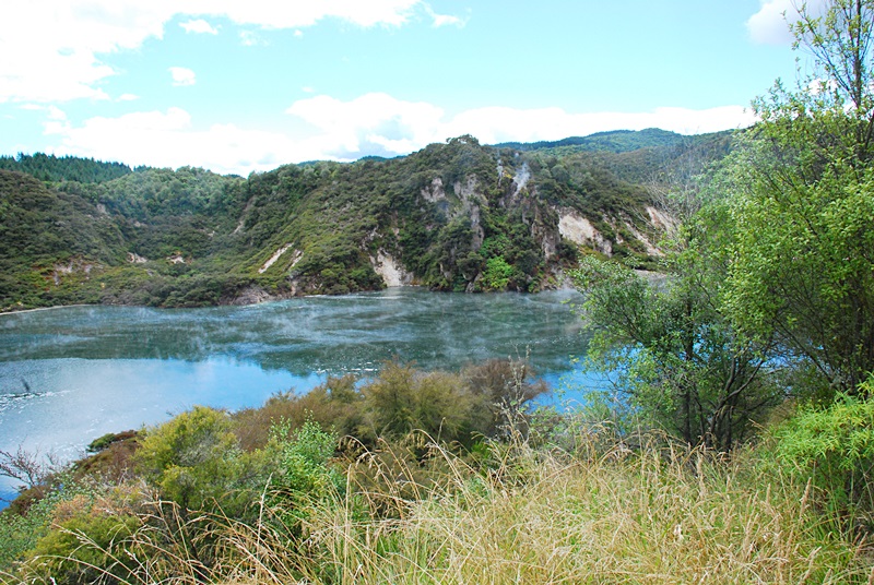 DSC_0393.JPG