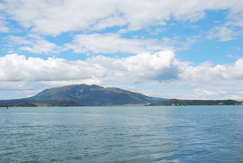 DSC_0501.JPG