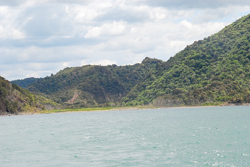 DSC_0492.JPG