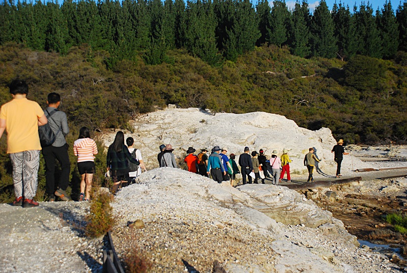 DSC_0235.JPG