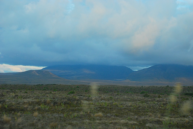 DSC_0607.JPG