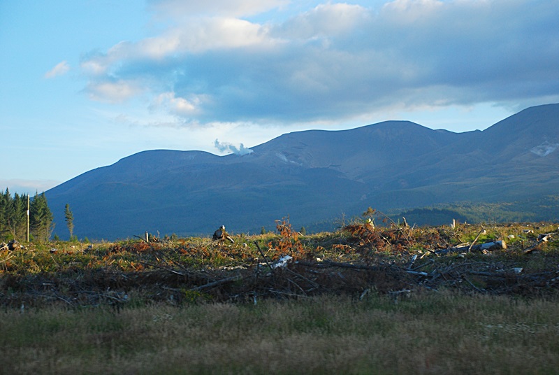 DSC_0587.JPG