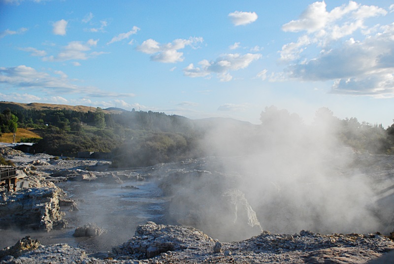 DSC_0170.JPG