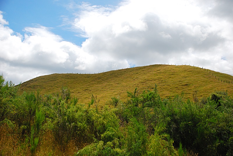 DSC_0356.JPG