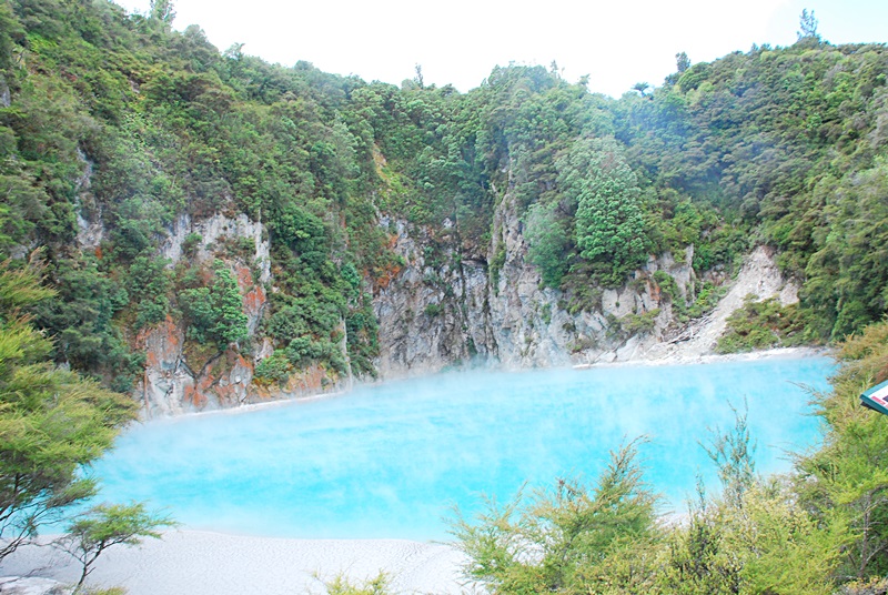 DSC_0417.JPG
