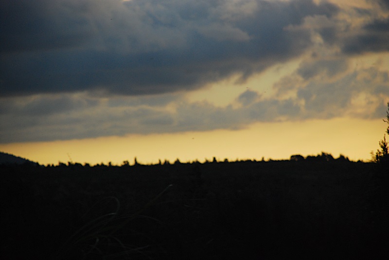 DSC_0605.JPG