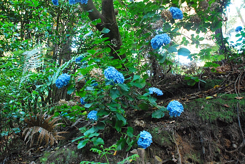 DSC_0189.JPG