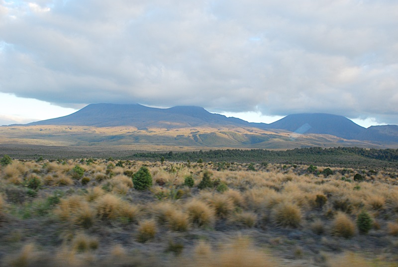 DSC_0601.JPG