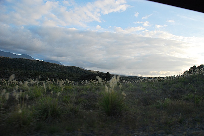 DSC_0591.JPG