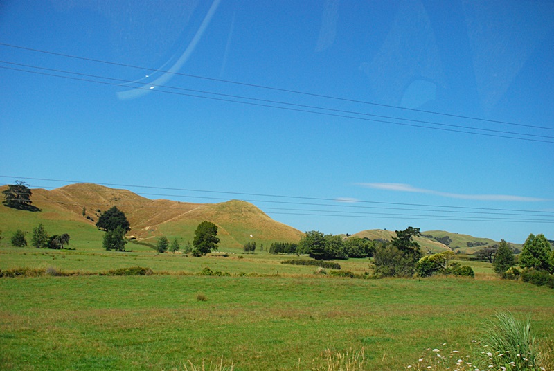 DSC_0079.JPG