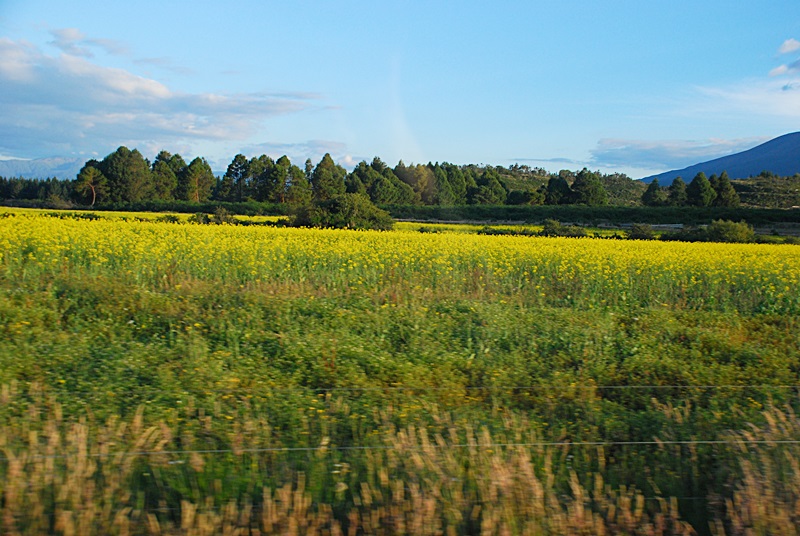 DSC_0584.JPG