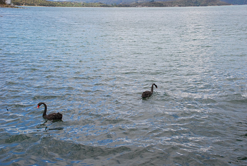DSC_0517.JPG