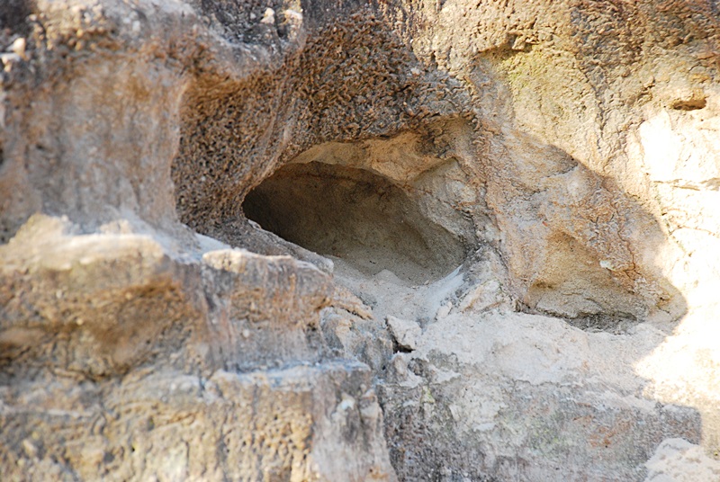 DSC_0234.JPG