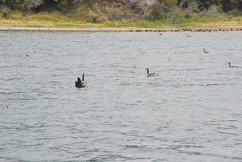 DSC_0503.JPG