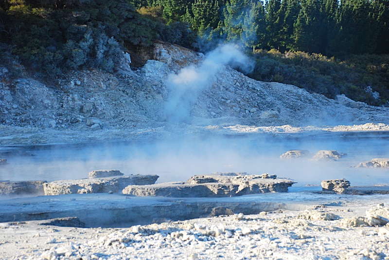 DSC_0202.JPG