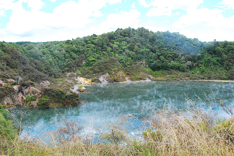 DSC_0388.JPG