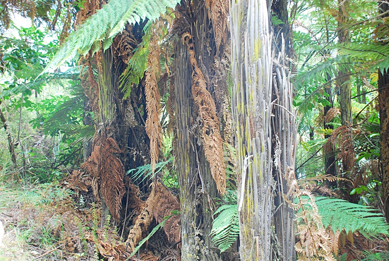 DSC_0395.JPG