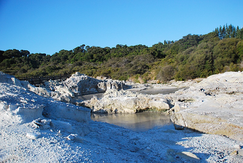 DSC_0121.JPG