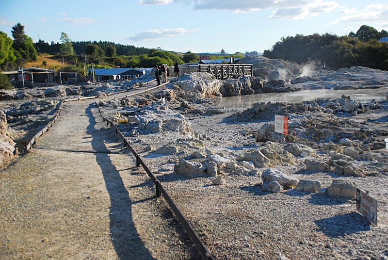 DSC_0145.JPG