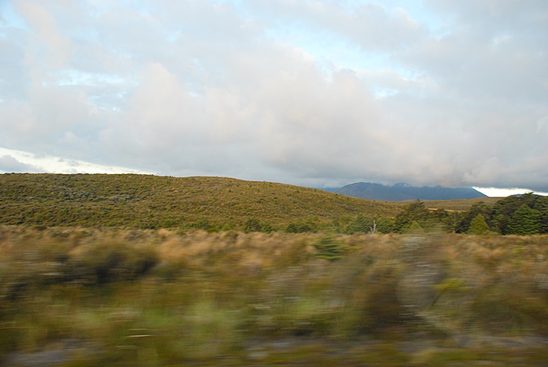 DSC_0609.JPG