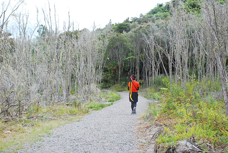 DSC_0552.JPG