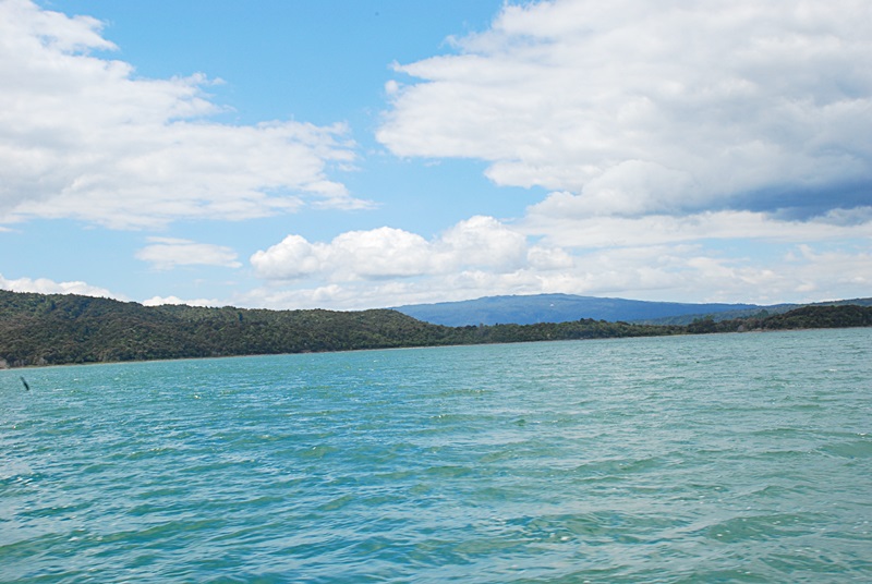 DSC_0494.JPG