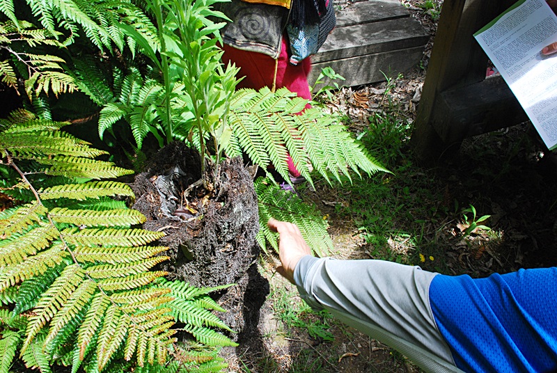 DSC_0396.JPG