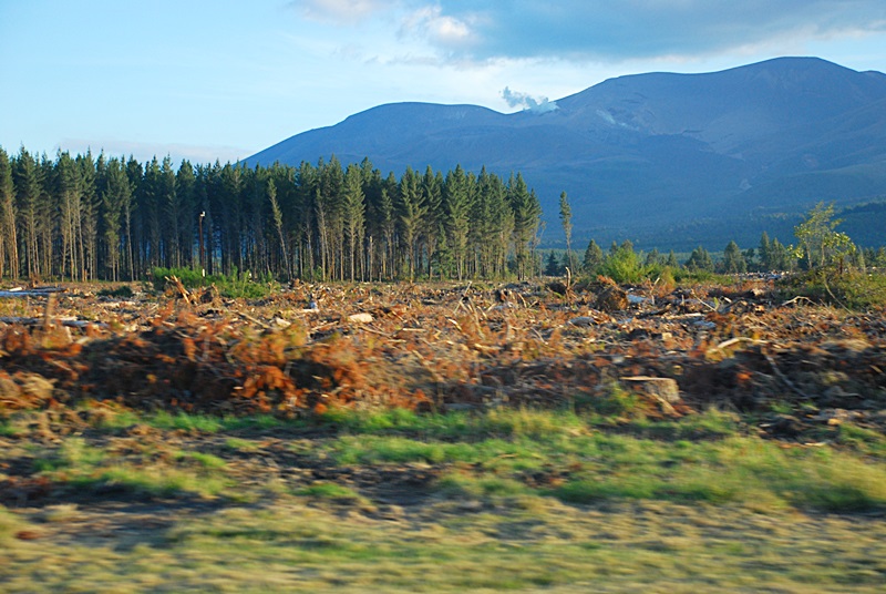 DSC_0586.JPG