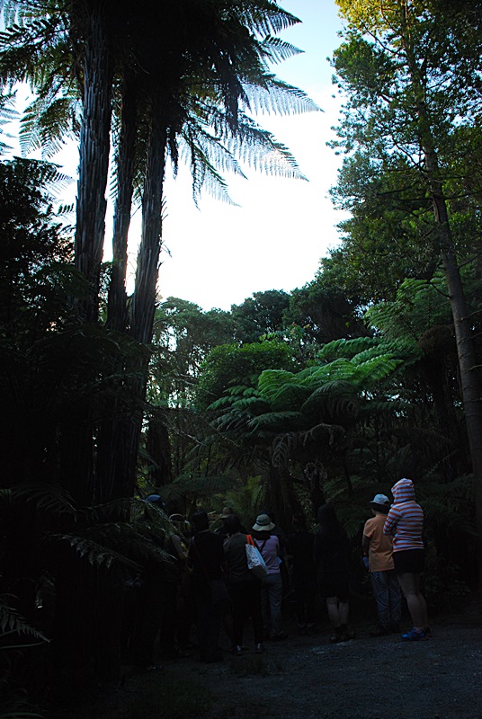 DSC_0297.JPG