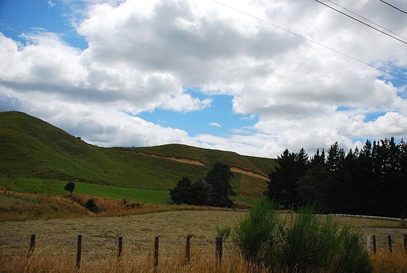 DSC_0359.JPG