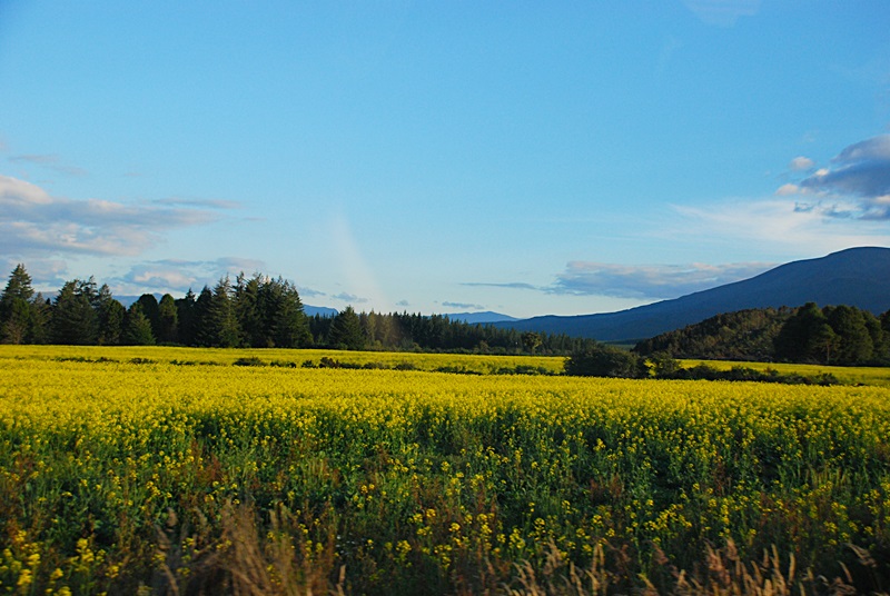 DSC_0580.JPG