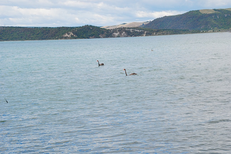 DSC_0482.JPG