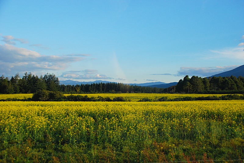 DSC_0581.JPG